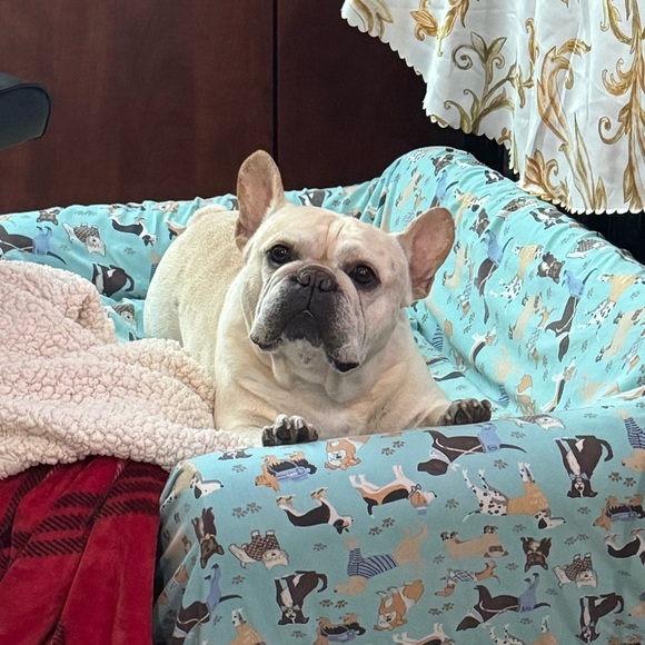 Meet your Posher, Keren - Picture 3 of 3